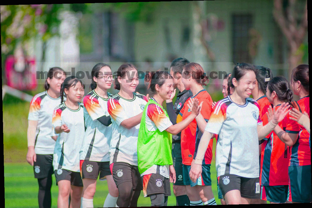 抽象球场线稿，无人物，表现体育数据平台的运动几何